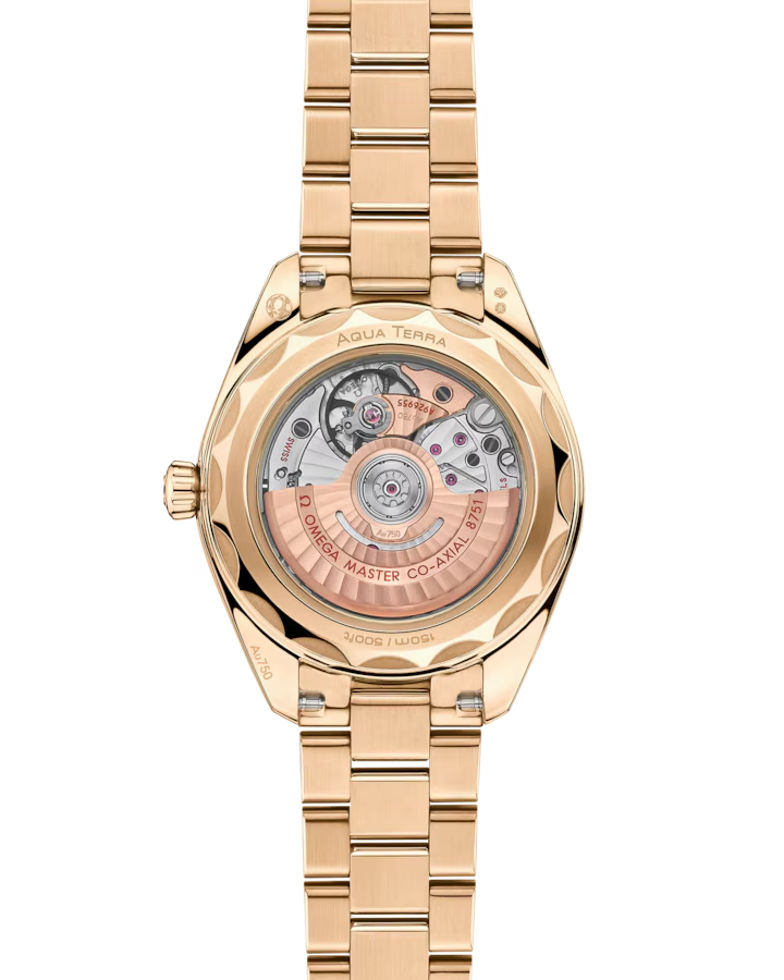 Seamaster Aqua Terra 30mm