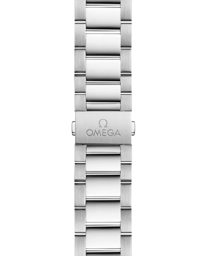 Seamaster Aqua Terra