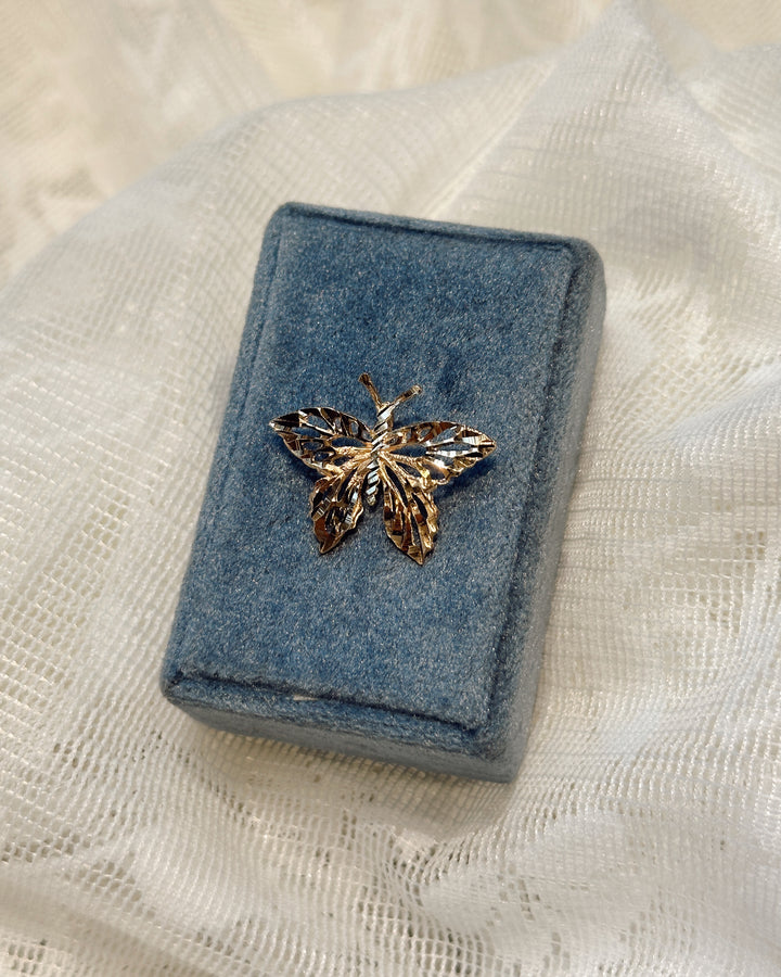 Metamorphosis Butterfly Charm