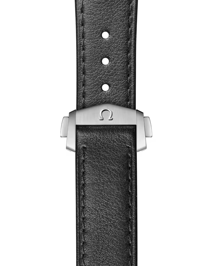 Speedmaster Moonwatch Professional