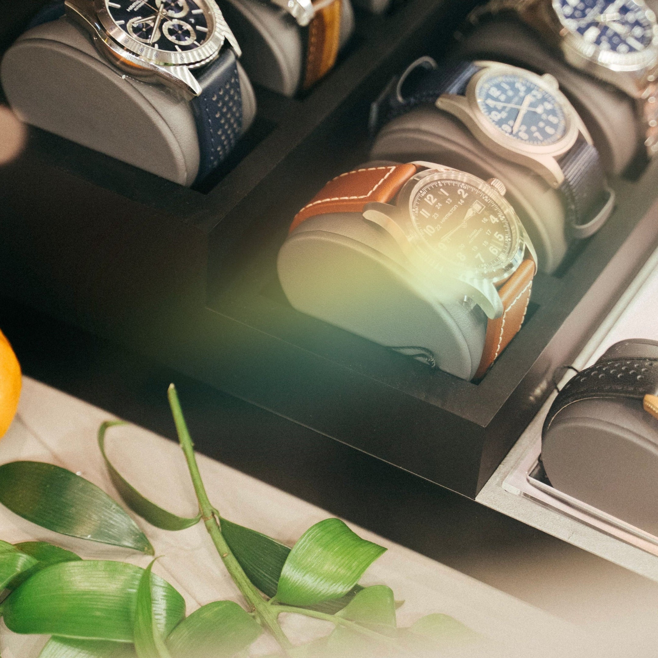 Collection of watches displayed on a stand with an orange and plant leaves in the foreground.