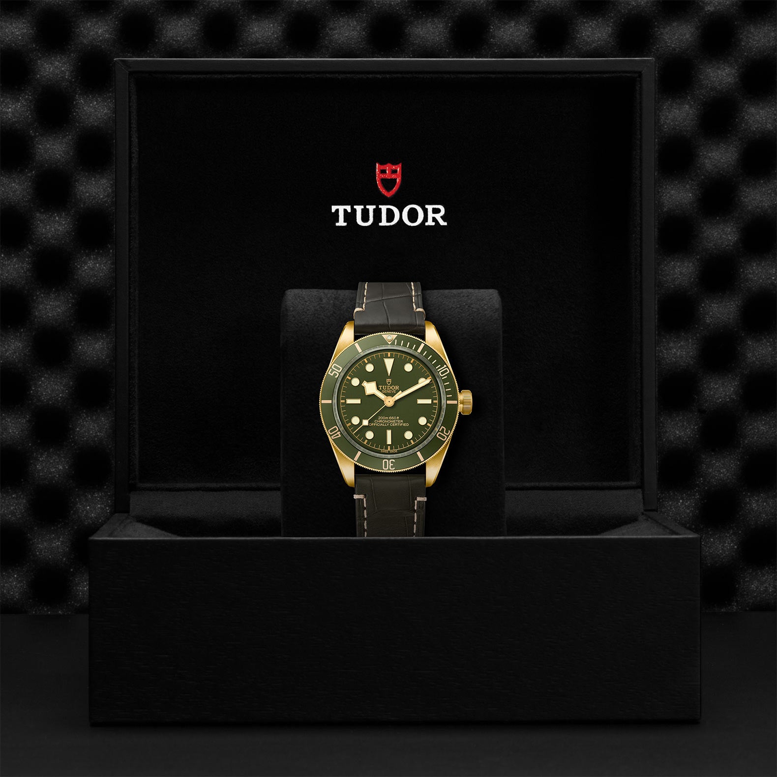 TUDOR Black Bay Fifty-Eight 18k