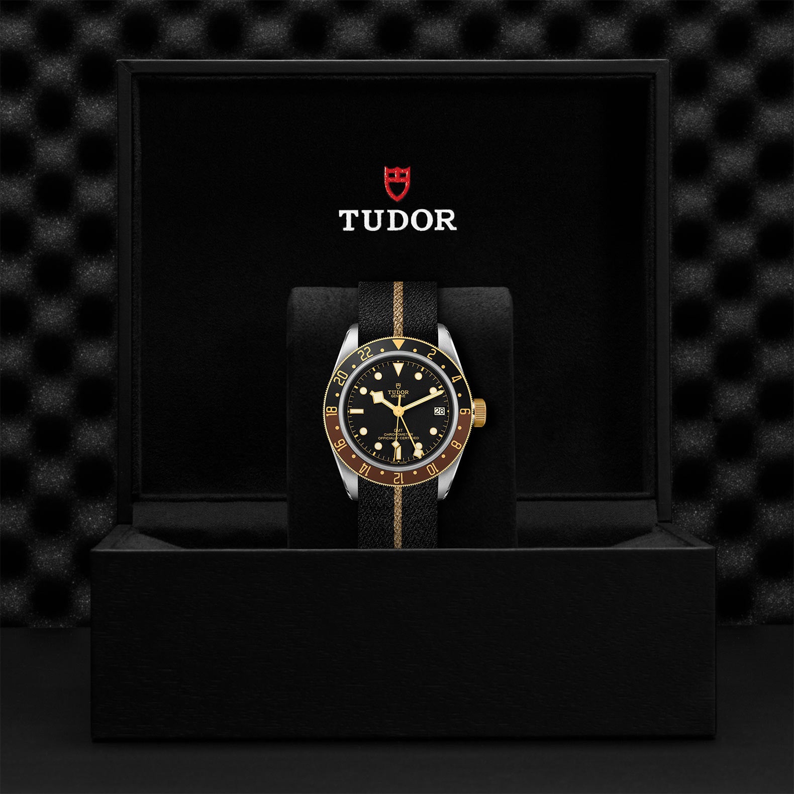 TUDOR Black Bay GMT S&G