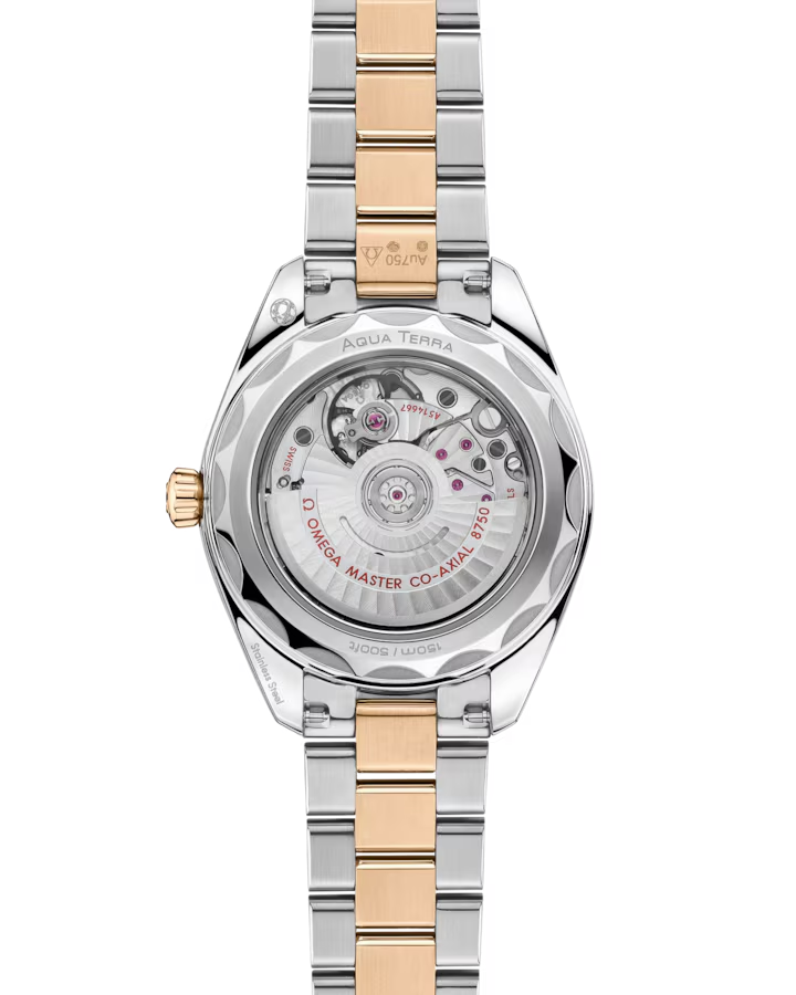 Seamaster Aqua Terra 150M