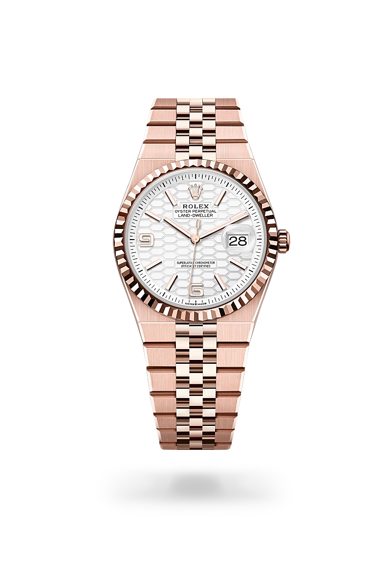 Rolex Land-Dweller in 18 kt Everose gold, M127235-0001 - Richter & Phillips