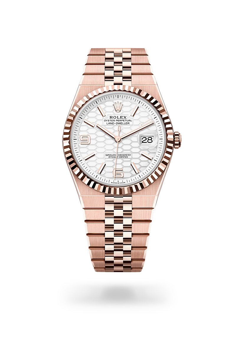 Rolex Land-Dweller in 18 kt Everose gold, M127335-0001 - Richter & Phillips